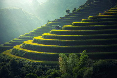 Visit Asia and discover its picturesque landscapes.